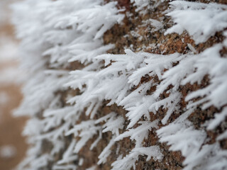 Ice and snow crystals grown on the surface of the stone after a hard frost