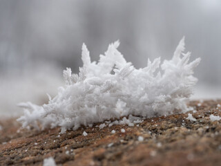 Ice and snow crystals grown on the surface of the stone after a hard frost