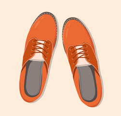 Shoes top down view. Classic brown laced unisex shoes isolated illustration. Hand drawn vector clip art for web and print. Trendy flat lay style illustration. Pair of shoes.