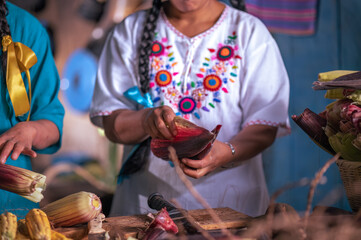 Manos de Mujeres pelando y cortando elotes frescos para cocinar alimentos.  