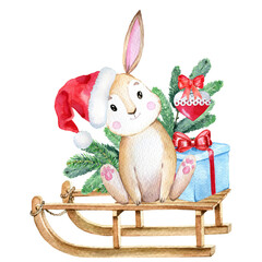 Cute Christmas bunny, watercolor bunny illustration, winter bunny, 2023 symbol