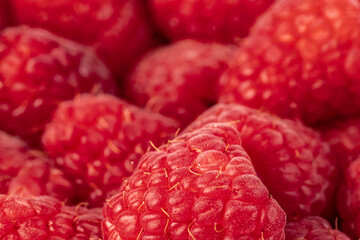 Raspberries. Fresh juicy raspberries bright background. Close-up.