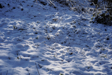Snow covering tufts of grass.