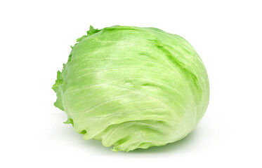 レタス イラスト リアル