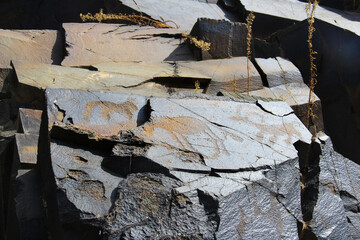 Carved images of ancient animals on a flat horizontal stone, petroglyphs, ancient rock paintings in the Tamgaly-Tas tract in summer