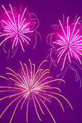 fireworks in the sky