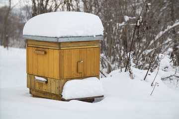 Beehive in winter covered with fresh snow