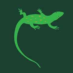 Lizard, chameleon, salamander - top view