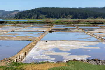 Salinas de Cáhuil and Laguna Cáhuil (Pichilemu) - Chile