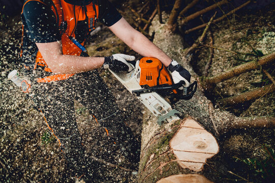 Forstarbeiter mit Kettens&auml;ge