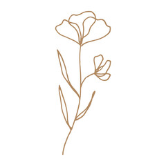 illustration of a flower minimal boho line art