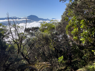 Vue du Piton des Neiges depuis Piton Textor