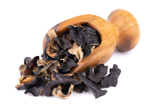 Dry black fungus in wooden scoop, isolated on white background. Chinese black mushroom or tree black muer mushroom. Auricularia polytricha.