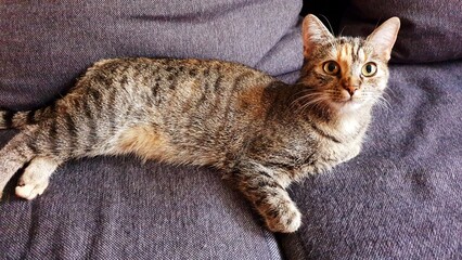 Nature, animals, fishing, the mountains, travel,flowers