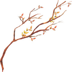 Watercolor autumn branch with leaves