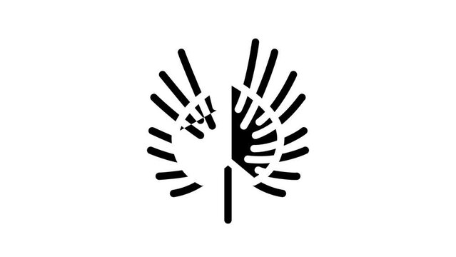 chinese fan palm glyph icon animation