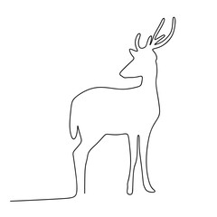 Outline deer isolated. one line hand drawn deer vector. eps10