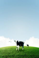 Cows on green hills with sunny sky.