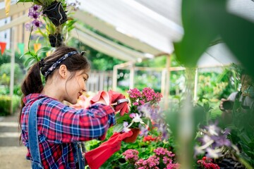 Young adult Asian Female florist caring plant nursery with flowers trimming  Plant care, growing...