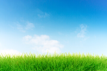 Blue sky and green grass background.