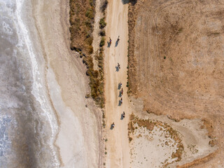 Horse riding from above at the salt lake side