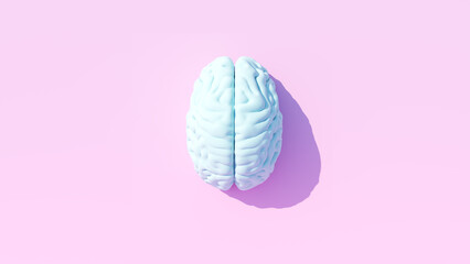 Pale Blue Human Brain Anatomy Neurology Mind Intelligence Think Medical Symbol Pink Top View Background 3d illustration render - 553534947