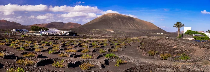 Foto op Plexiglas Volcanic Lanzarote islands. Unique traditional vineyards in black soil. la Geria village. Canary islands countryside scenery. © Freesurf