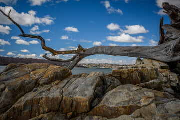 Fototapeta na wymiar Beach rocks with moss on a sunny day with clear skies