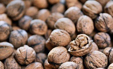 Walnut