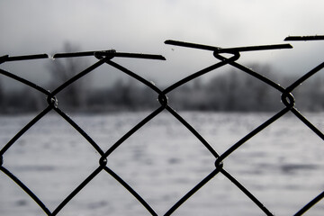 wire netting during winter