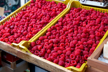 Fresh red ripe raspberry berries in plastic crates on retail display of farmers market.Close-up
