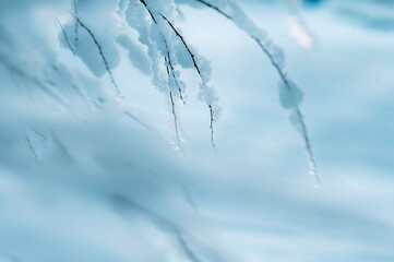 pure winter magic