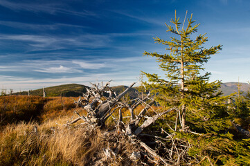 Szczyty w Beskidach w piękny słoneczny dzień © Sebastian