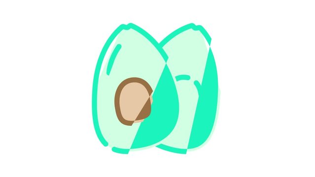 avocado food color icon animation