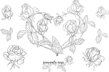 Vector set of flower compositions with rose flowers.Heart of flowers.