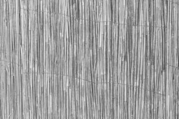 Light grey reed interior pattern bamboo handmade wall wicker texture rattan background gray