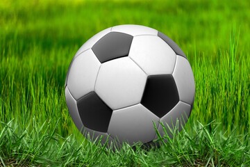 Fototapeta premium Classic football or soccer ball on grass