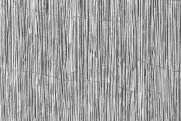 Light grey reed interior pattern bamboo handmade wall wicker texture rattan background gray