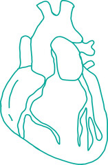 Medical heart shaped