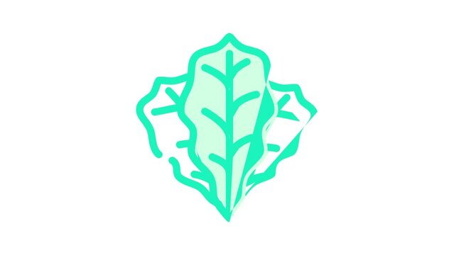 spinach leaves color icon animation