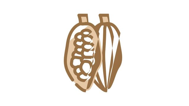 cocoa beans color icon animation