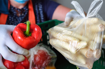 Lebensmittelspende Tafel: Frau mit Handschuhen packt Obst und Gemüse wie frische Paprika in grüne Kisten für die Verteilung an Bedürftige - selektiver Fokus - obrazy, fototapety, plakaty