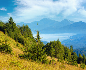 Summer mountain view (Carpathian, Kryvopillja, Verkhovyna district, Ivano-Frankivsk region, Ukraine).