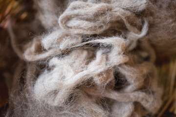 Extreme close-up horizontal photograph of ivory worsted wool ready to be spun, an image of wool...