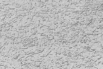 Light gray white decorative plaster abstract bark beetle pattern wall texture background