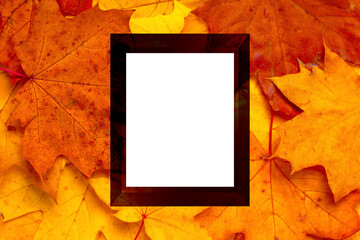 Naklejka na ściany i meble autumn frame mockup with copy space, 3d render