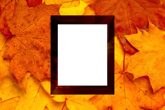 autumn frame mockup with copy space, 3d render