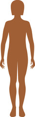 Rectangular type of female figure
