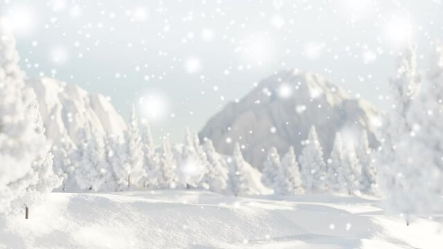 Blurry of Winter background Christmas and new year holiday 2023 concept.Background of snow and frost with free space for your decoration,banner,copy space,christmas tree,snow.