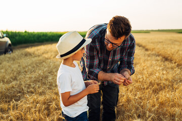 Naklejka na ściany i meble Father is teaching his son about agriculture and their wheat field